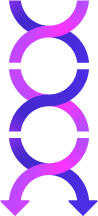 Digital DNA